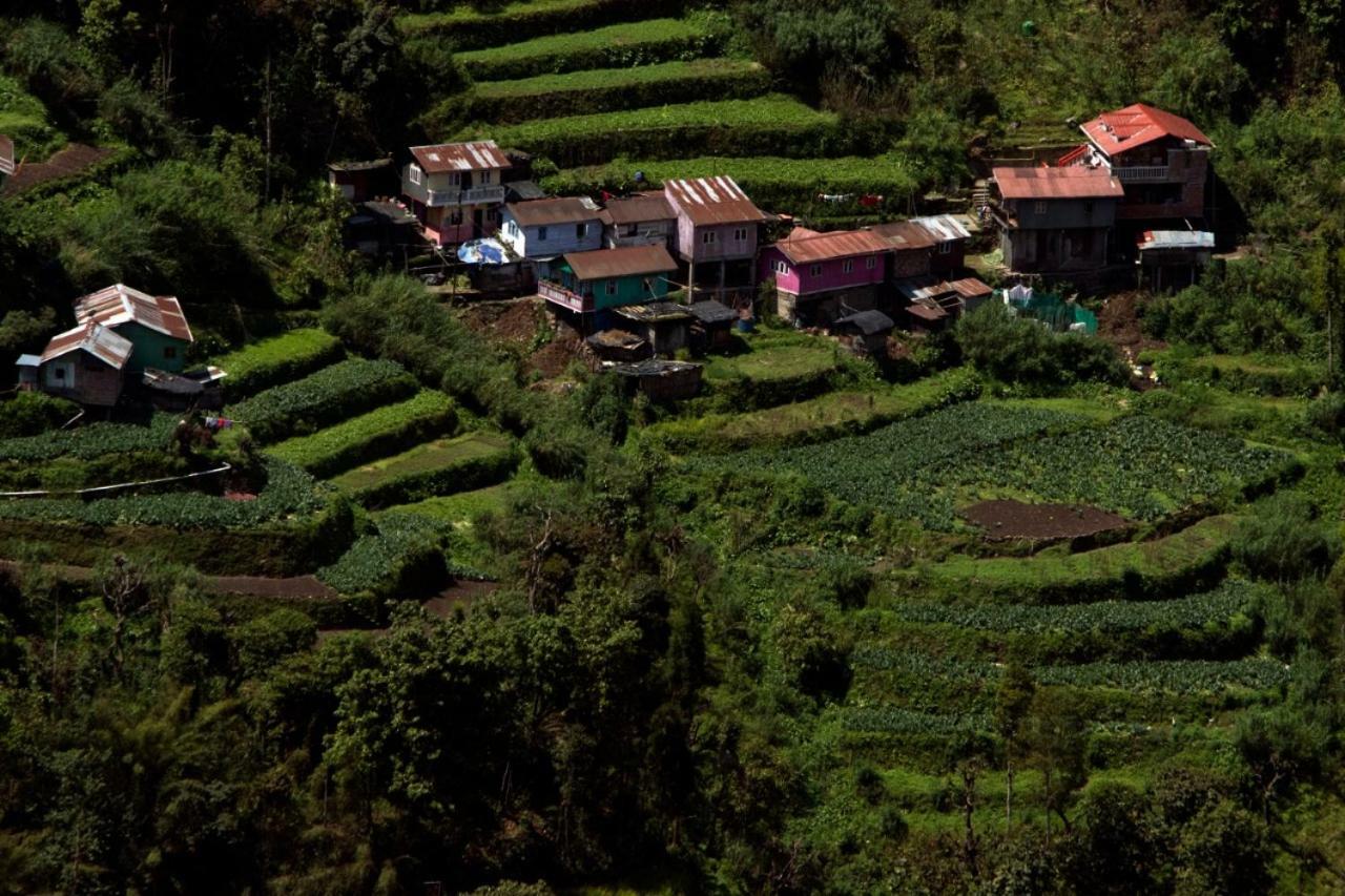 Yashita Homestay Darjeeling  Buitenkant foto