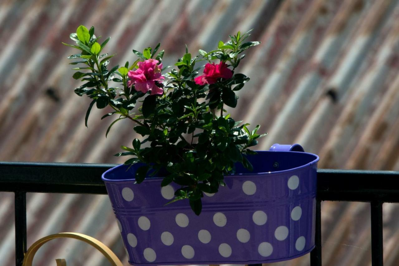 Yashita Homestay Darjeeling  Buitenkant foto